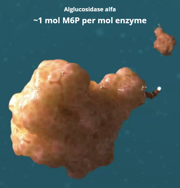 Aglucosidase-alfa Enzyme