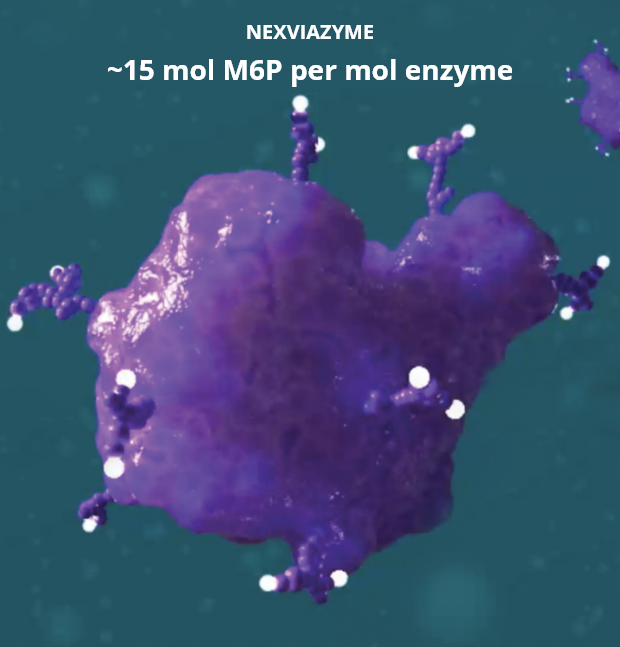 NEXVIAZYME® (avalglucosidase alfa-ngpt) Enzyme